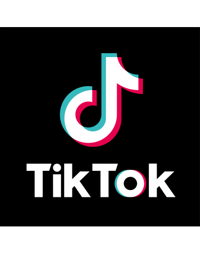 Tiktok Ads Manager