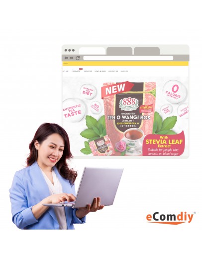 Pro Company - 网站设计