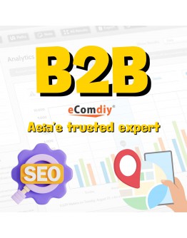 B2B SEO服务 马来西亚企业专属SEO优化方案